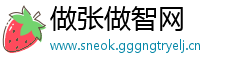 做张做智网